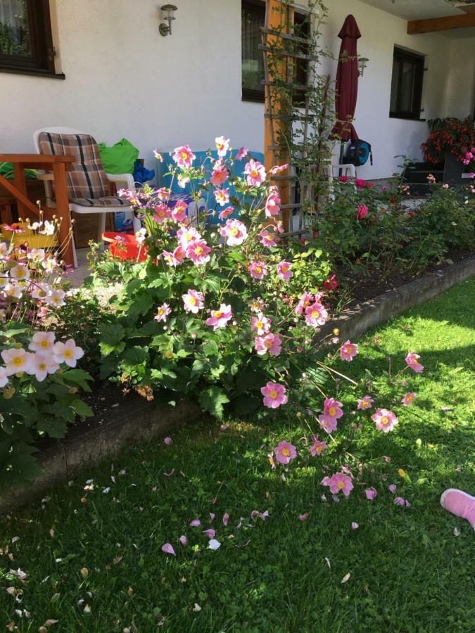 Appartements Wacker Bichlbach Bagian luar foto